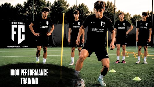 Image High Performance Training